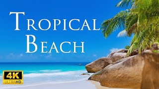 Tropical Beach 4K VIDEO • Peaceful Relaxing Music | 4K Video Ultra HD