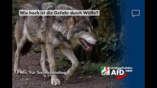 Das moderne Märchen vom Wolf