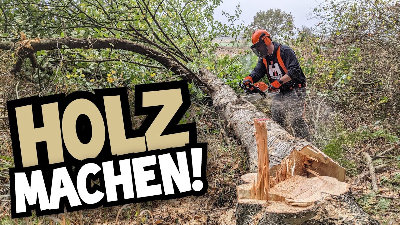 Holz Machen Im Wald Zeitraum
