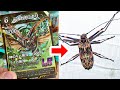 実在する虫のカードゲーム"蟲神器"の最新弾を実際の虫の映像を見ながら開封して行く！