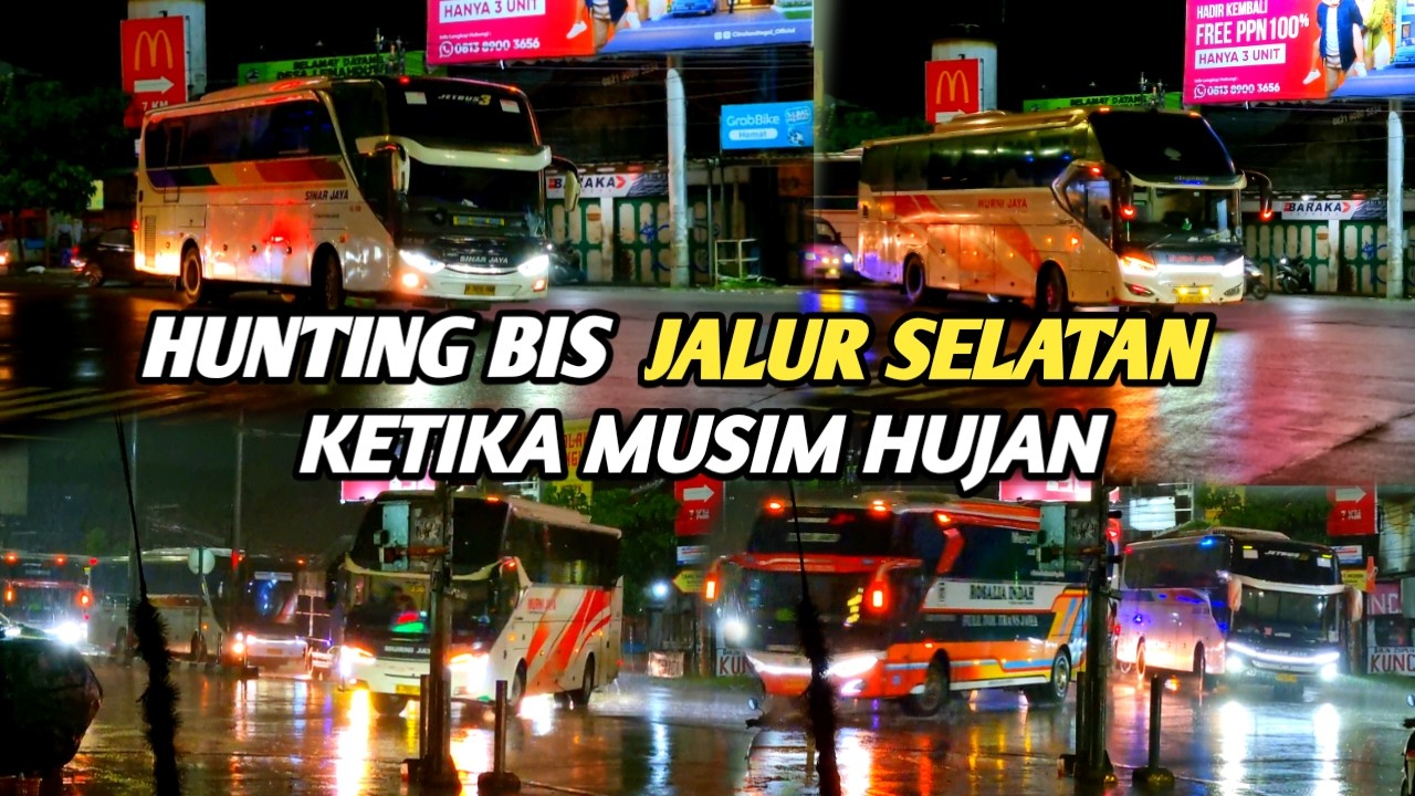 BEGINILAH HUNTING BIS KETIKA HUJAN