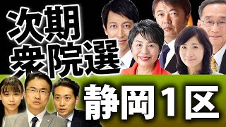 静岡1区は次期衆院選も大混戦！上川陽子氏に、青山雅幸氏、遠藤行洋氏、高橋美穂氏、しまづ幸弘氏が挑む！？｜衆議院選挙2021注目選挙区特集｜第97回 選挙ドットコムちゃんねる #4