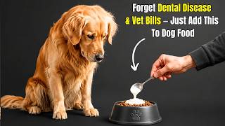 Just Add This to Dog Food and It May Help Prevent Dental Disease for Life in Dogs