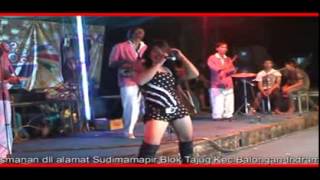 Download Lagu Laba Laba Cinta MP3 Laba Laba Cinta