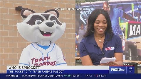 Who is Sprocket? Get to know the Rocket City Trash Pandas team mascot