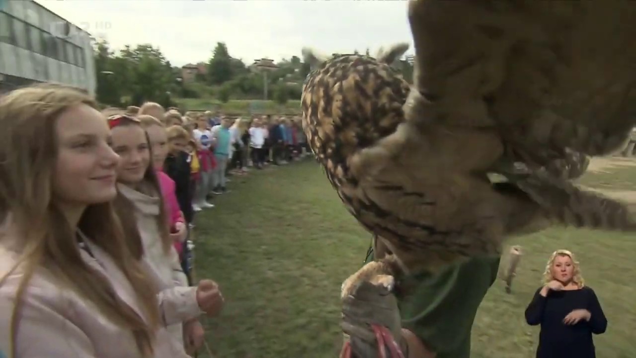 Chcete mě - Seiferos