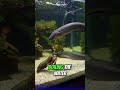 This Shrimp Can Punch Harder Than You Think!