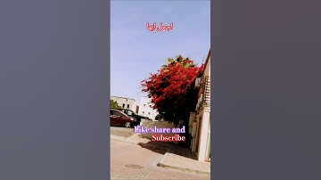 !#اكسبلور !#سورة الزلزلة!#بصوت الحب للشيخ عبدالباسط عبدالصمد رحمه الله!!#