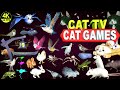 Cat games ultimate cat tv compilation  best cat games on screen  cat  dog tv 4k 8 hours