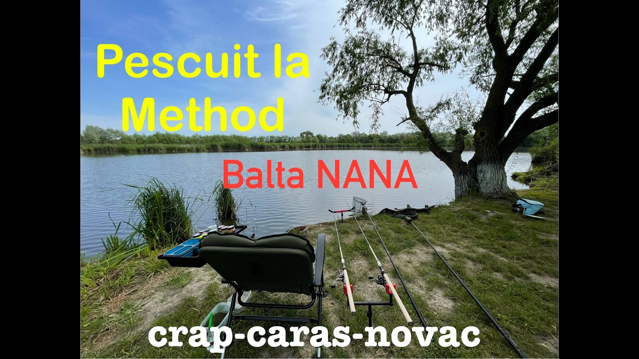 PESCUIT LA METHOD FEEDER pe Balta Nana _20 mai 2024 ( crap, caras, novac)