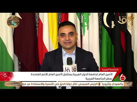 Egyptian TV Reporter Details Meeting Between Arab League Secretary-General and UN Secretary-General