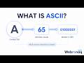What Is ASCII and How It Works?