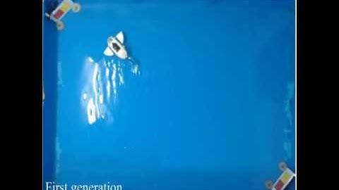 Autonomous gait optimization of fish robot