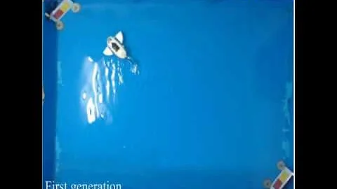 Autonomous gait optimization of fish robot