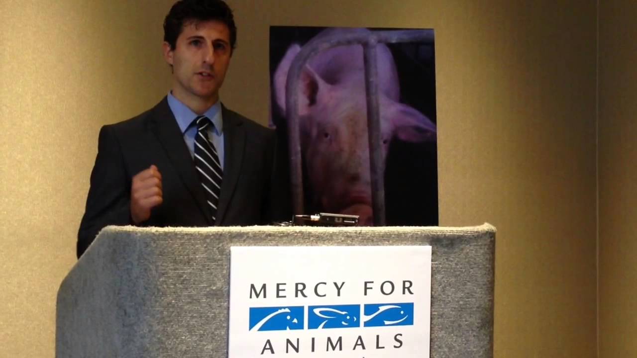 Mercy for Animals news conference YouTube