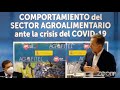 Comportamiento del Sector Agroalimentario ante la crisis del COVID 19 Comportamiento del Sector Agroalimentario ante la crisis del COVID 19
