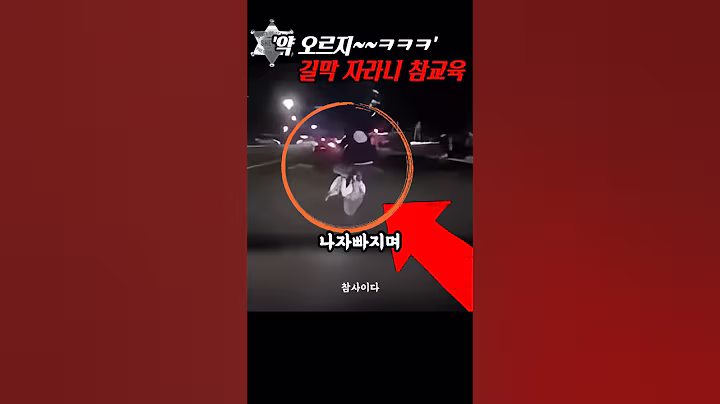 약 올리며 묘기 부리던 길막 자라니 참교육