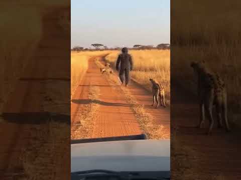 dangerous man face in dangerous animal #shorts