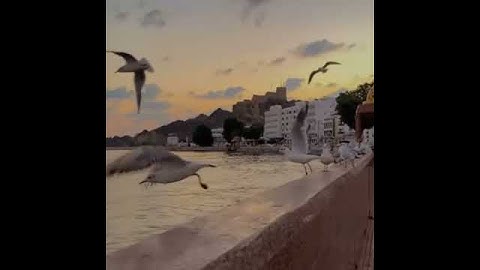 جمعة مباركة#🌹🌹🌹🌹🌹#قرآن كريم بصوت الشيخ ماهر المعيقلي #