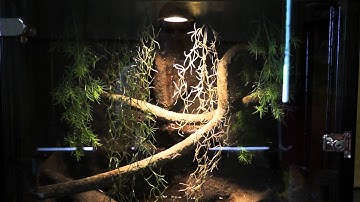 Small Dedicated GTP Enclosure