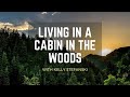 Living in a cabin in the woods  interview with kelly stefanski summary