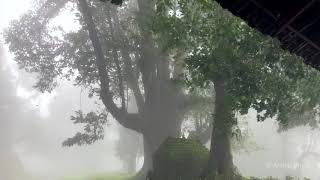 Karnataka Monsoon 2019