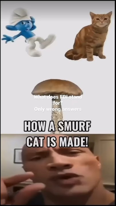 WHAT DOES FBI STAND FOR Only Wrong Answers YouTube what-does-fbi-stand-for-only-wrong-answers-youtube