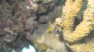 20140428 石垣!!(8)