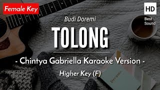 Tolong (Karaoke Akustik) - Budi Doremi (Female Key | HQ Audio)