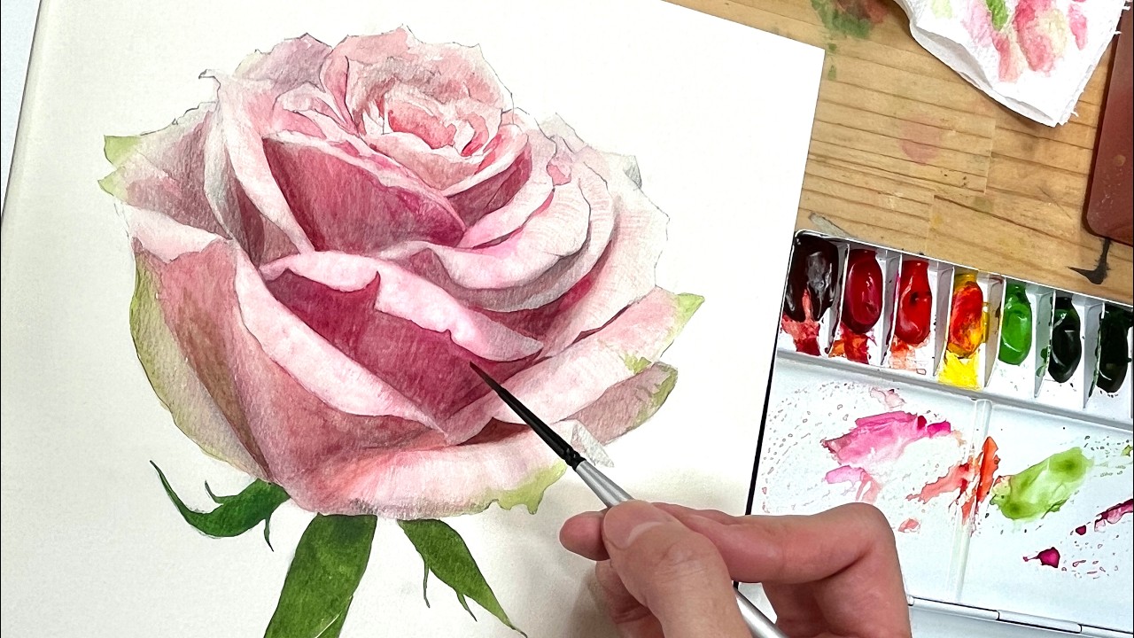 水彩絵具 花（バラ／ピンク） デモンストレーション タイムラプス動画