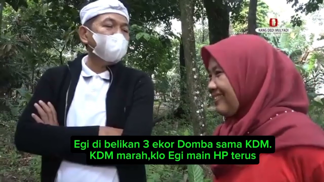 Egi dibelikan 3 ekor Domba sama KDM.KDM marah kalau Egi main HP terus #dedimulyadi #momenlucu #reels