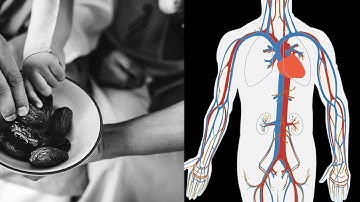 if you eat 3 dates everyday for 1 week this is what happens to your body..