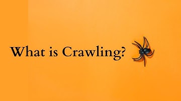 What is Crawling?