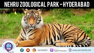 Nehru Zoological Park | Hyderabad Zoo | Safari | Live | Eenadu Fm | E Fm