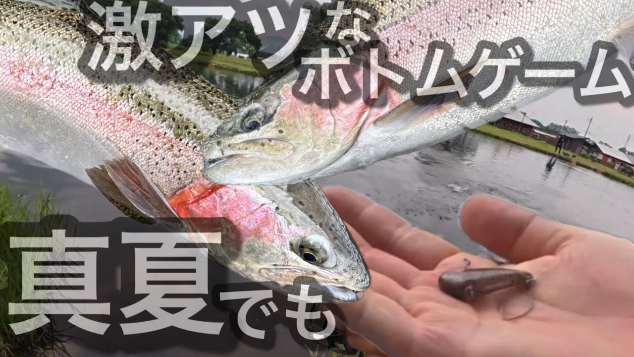 夏本番のユーランド清水川釣行！夏でもアツイボトムゲーム！