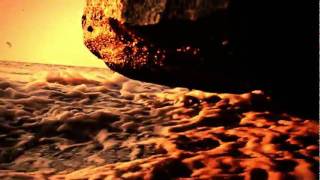 DubStep - Dub Step Groove 867