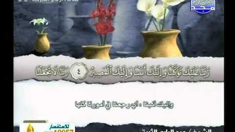 سورة الحشر 11 الى الصف 14 ـــ عبدالبارى الثبيتى