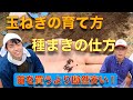 8月29日 玉ねぎの育て方 タネ撒き【超極早生 トップゴールド320】