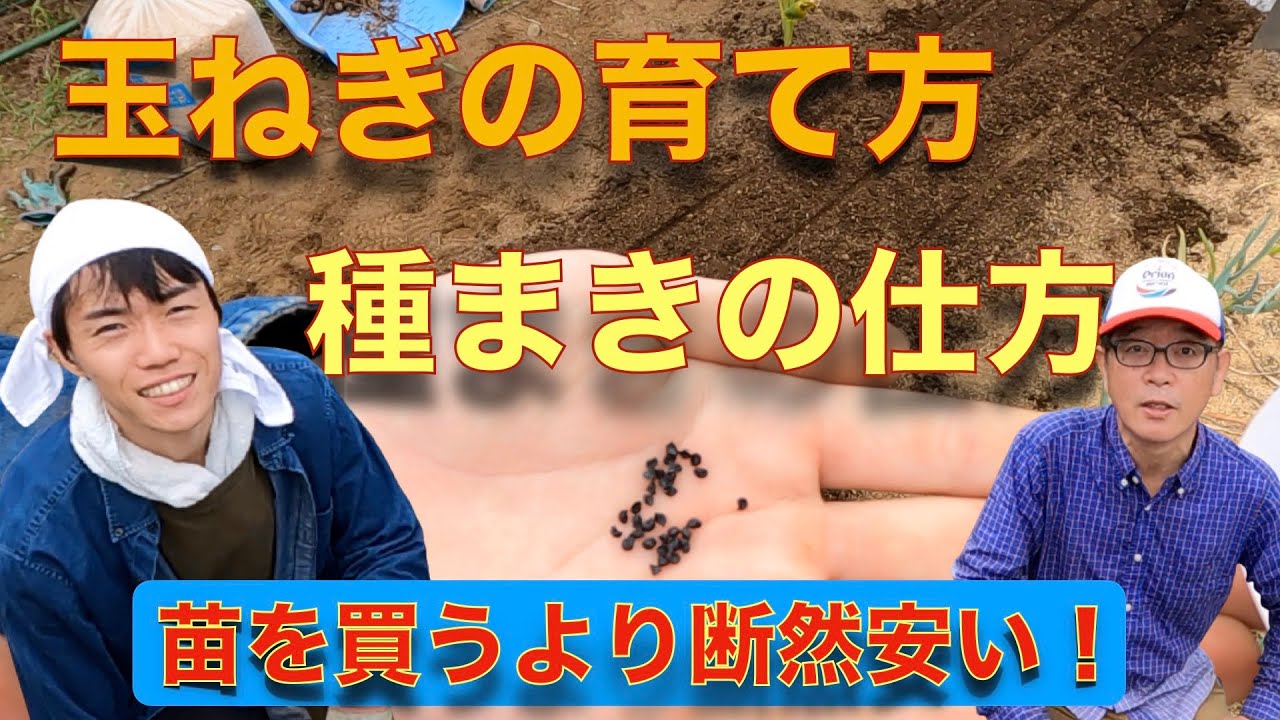 5月7日 じゃがいもの育て方 日々のお手入れ編 生育確認 花を摘む Youtube