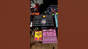 Soma Synths Lyra 8 #2