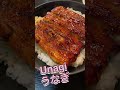 UNAGI GRILLED EEL / うなぎ #Shorts