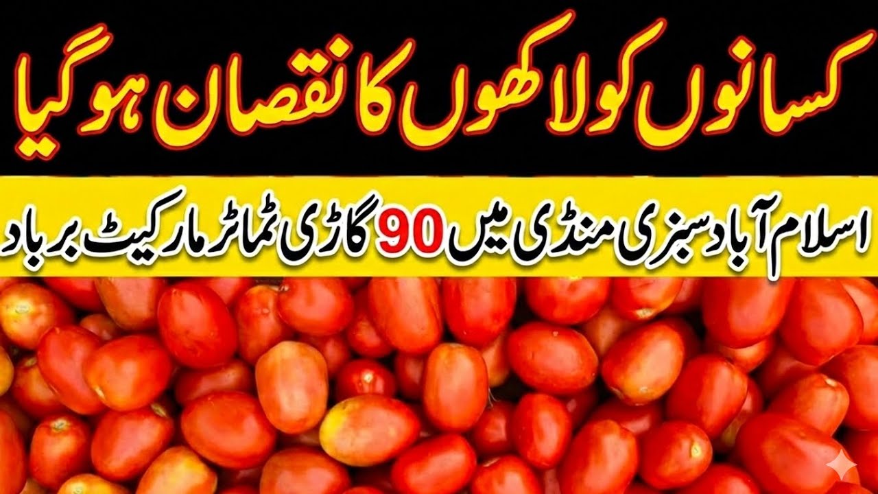 Tomato Market Crash! Millions of Rupees Lost in Islamabad Sabzi Mandi | 5 March 2026 | Tomato Update
