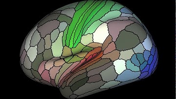 A 360° View of Multimodal Parcellation
