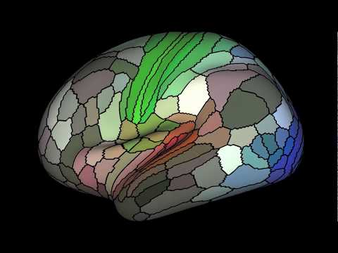 A 360° View of Multimodal Parcellation