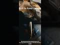 Alaskan Moose Antler Paddle Cut for Dogs 🐾 Long-Lasting Natural Dog Chew
