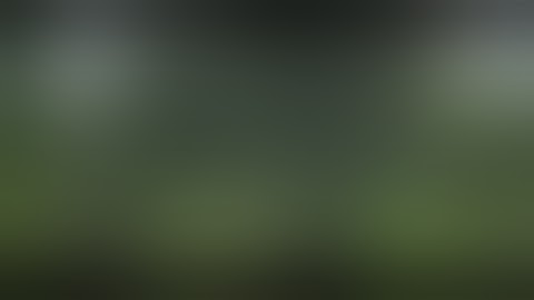 KUSH KASH MUSIC VIDEO NAME JAMAICA FROM BENZ REDSQUARE CONNECTIONS