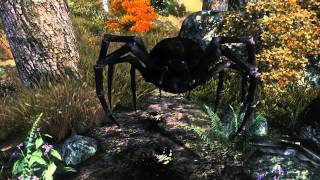 The Elder Scrolls IV: Andoran The Elder Scrolls IV: Andoran