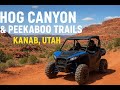 Utah Off-Road Perfection! Hog Canyon & Peekaboo Trails SXS Ride!