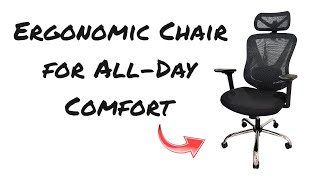 Holludle Store Ergonomic Office Chair With 3D Lumbar Support Review