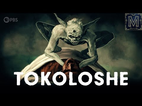 Video: The Spouses From South Africa Are Sure That An Evil Monster Tokoloshe Has Settled In Their House - Alternative View